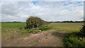 Hedgerow and Fields at Longford in TF9 3PW