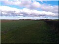 Landscape near Kelby in Culverthorpe and Kelby
