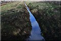 Starston: Drainage ditch in IP20 9PN