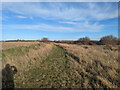 Path across Rushenden Marshes in ME11 5LX