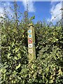 Bridleway signpost in TF9 2HX