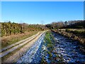 Track on Yateley Common in GU17 0BL