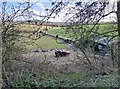 Track and farmland adjacent to the old A10, Ermine Street in SG11 1BW