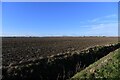 Starston: Enormous ploughed field in Starston