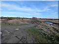 Tracks, Rushenden Marshes in ME11 5LX
