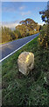 Old Milestone by the A35, south east of Bere Regis in BH20 7NJ