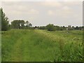 Following the River Parrett Trail towards Stathe in TA7 0JN