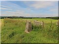 Trig Point on Gotterbie Hill near Millhousebridge in DG11 1TA