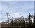 Electricity Pylon near Eastham Rake Station in CH63 0NY