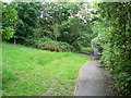 Path through Daneshill Parks Woods in RG24 8NU