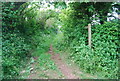 Beginning of bridleway, Kellaton in TQ7 2ND