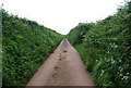 Narrow Devon lane, near Kellaton. in TQ7 2ND