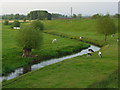 The River Sow and pasture, Great Bridgeford in ST18 9PT