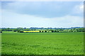 2008 : Farmland between Little Chalfield and Wraxall in BA15 2DJ