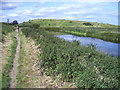 Footpath through Coatham Marsh in TS10 5QX