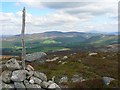 Southern top of Creag nan Gall in AB35 5TB