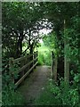 Footbridge and path in CO10 8BL