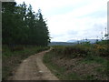Track up towards Red Crag in AB34 5EU