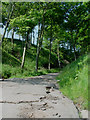 Path to the car park in Filey