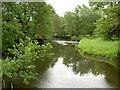River Alyn near Hope in Hope Community