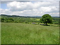 More Farmland near Llanfynydd! in Llanfynydd Community