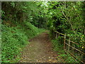 Footpath to Pen-Llan-y-Gwr in Llanfynydd Community