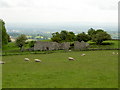 Disused Farm Buildings on slopes of Pen-Llan-y-Gwr in Llanfynydd Community