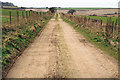 Farm track, Sparsholt College in SO21 2NG