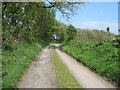 Farm access road now used as part of the Anglesey Coastal Path in LL65 2RJ