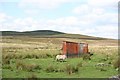 Even sheep need sheds on moorland at Corsenside in NE48 2TA