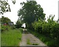 Footpath - Carr Lane, Micklethwaite in BD16 3JJ