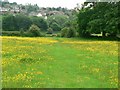 Footpath through the buttercups in LS16 7JS