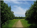 Grassmoor Country Park - Footpath View in S42 5DP