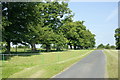 2008 : Avenue at  Cutteridge Farm in BA14 9PS