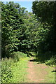 Track in Hardwick Wood in PL7 1QF