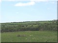 View north in the direction of Gaerwen over grazing land in LL60 6NN