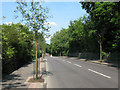 Brenchley Gardens (road) in SE22 0RX