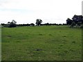 Little Brockamin Farm grassland in Malvern Hills District