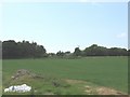 A view across a field of cultivated grass towards the ruined Cae-meini homestead in LL60 6NH