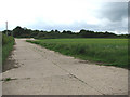 Concreted track leading to Pit Hole Plantation in NR25 7DE