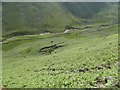 Sheep enclosure below Knott Ends in Wasdale