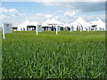 Cereals 2008, Spring Barley Plots in LN5 0QE