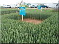 Cereals 2008, Skylark Plots in LN5 0QE