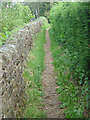 Footpath along The Tors in DE4 5ER