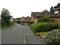 Collett's Green - Old Hospital Lane in WR2 4QE