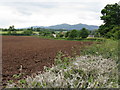 Ploughed field at Bastonford in WR2 4SN