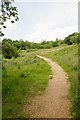 Path winding up hill in Claylands Local Nature Reserve in SO32 1SA