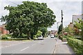 Looking along Winchester Road, Bishop's Waltham in SO32 1BD