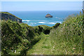 Tintagel: path to Trebarwith Strand in PL34 0EP
