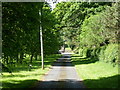 Driveway to Allerly Mains in TD6 9LT